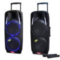 Double 10′′ Colorful Professional Hifi Sound with Wireless Bluetooth F73